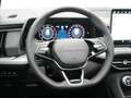 Skoda Kodiaq TDI 4x4 Sportline PANO LED HUD AHK KAM Grau - thumbnail 17