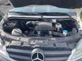 Mercedes-Benz Sprinter 419CDI AUTOTRANSPORT 3,0 D 6 Gang 5 TONN  NETTO Weiß - thumbnail 15