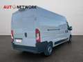 Fiat Ducato 35 2.2 Mjt 140CV L3H2 LH2 Furgone Bianco - thumbnail 4