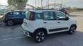 Fiat Panda Panda Cross 1.0 FireFly S&S Hybrid Bianco - thumbnail 5