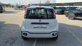 Fiat Panda Panda Cross 1.0 FireFly S&S Hybrid Bianco - thumbnail 4