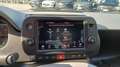 Fiat Panda Panda Cross 1.0 FireFly S&S Hybrid Bianco - thumbnail 13