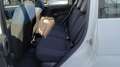 Fiat Panda Panda Cross 1.0 FireFly S&S Hybrid Bianco - thumbnail 9