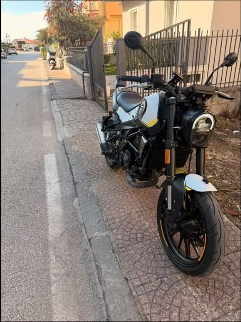 Benelli Leoncino Negro - 1