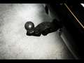 Porsche Cayenne S COUPE E-HYBRID°SPORTDESIGN°DISPLAY°AHK°FULL PPF Noir - thumbnail 16