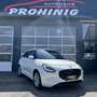 Suzuki Swift 1,2 Hybrid Shine Weiß - thumbnail 4