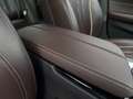 BMW 520 5-Serie Touring 520i M- Sport Nappa Leder Sophisto Gris - thumbnail 46