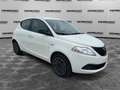 Lancia Ypsilon 1.0 FireFly 5 porte S&S Hybrid Oro Weiß - thumbnail 3