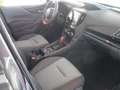Subaru Forester 2.0ie e-BOXER Lineartr. EDITION EXCLUSI Exclusive Gri - thumbnail 11