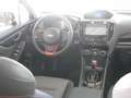 Subaru Forester 2.0ie e-BOXER Lineartr. EDITION EXCLUSI Exclusive Gris - thumbnail 7