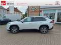 Toyota RAV 4 Blanc - thumbnail 3