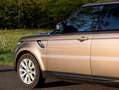 Land Rover Range Rover Sport 3.0 TDV6 HSE Dynamic – Kaikoura Stone 148DKM Bruin - thumbnail 23