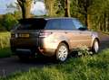 Land Rover Range Rover Sport 3.0 TDV6 HSE Dynamic – Kaikoura Stone 148DKM Bruin - thumbnail 13