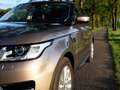 Land Rover Range Rover Sport 3.0 TDV6 HSE Dynamic – Kaikoura Stone 148DKM Bruin - thumbnail 4