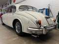 Jaguar MK II 3.4 LHD Blanc - thumbnail 15