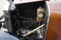 Oldtimer Peugeot 177 B Torpedo, 103 Jahre, viersitziges Cabrio, Oldtimer Braun - thumbnail 14