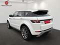 Land Rover Range Rover Evoque 2.2 Sd4 Dynamic Aut. | Panorama | Navi | Kamera Weiß - thumbnail 5