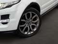 Land Rover Range Rover Evoque 2.2 Sd4 Dynamic Aut. | Panorama | Navi | Kamera Weiß - thumbnail 8