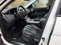 Land Rover Range Rover Evoque 2.2 Sd4 Dynamic Aut. | Panorama | Navi | Kamera Weiß - thumbnail 11