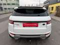 Land Rover Range Rover Evoque 2.2 Sd4 Dynamic Aut. | Panorama | Navi | Kamera Weiß - thumbnail 21