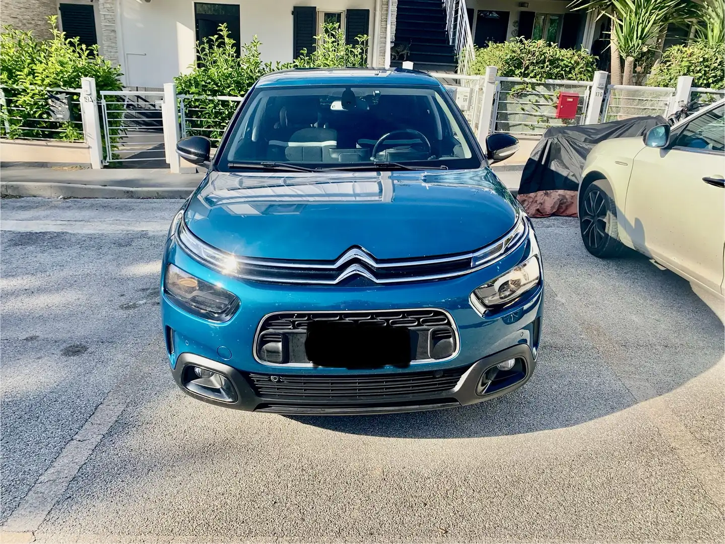 Citroen C4 Cactus Blu/Azzurro - 2