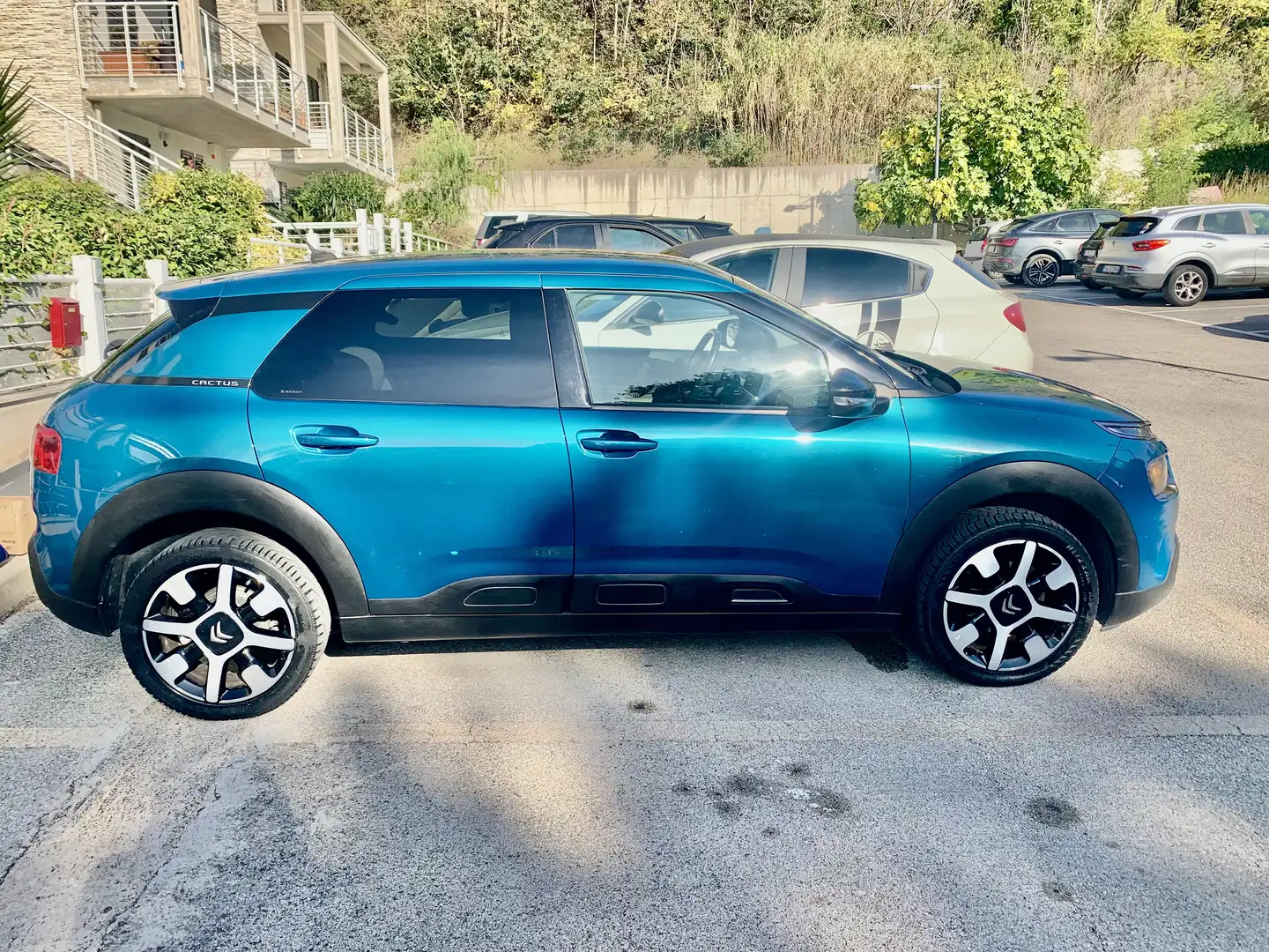 Citroen C4 Cactus Blu/Azzurro - 1