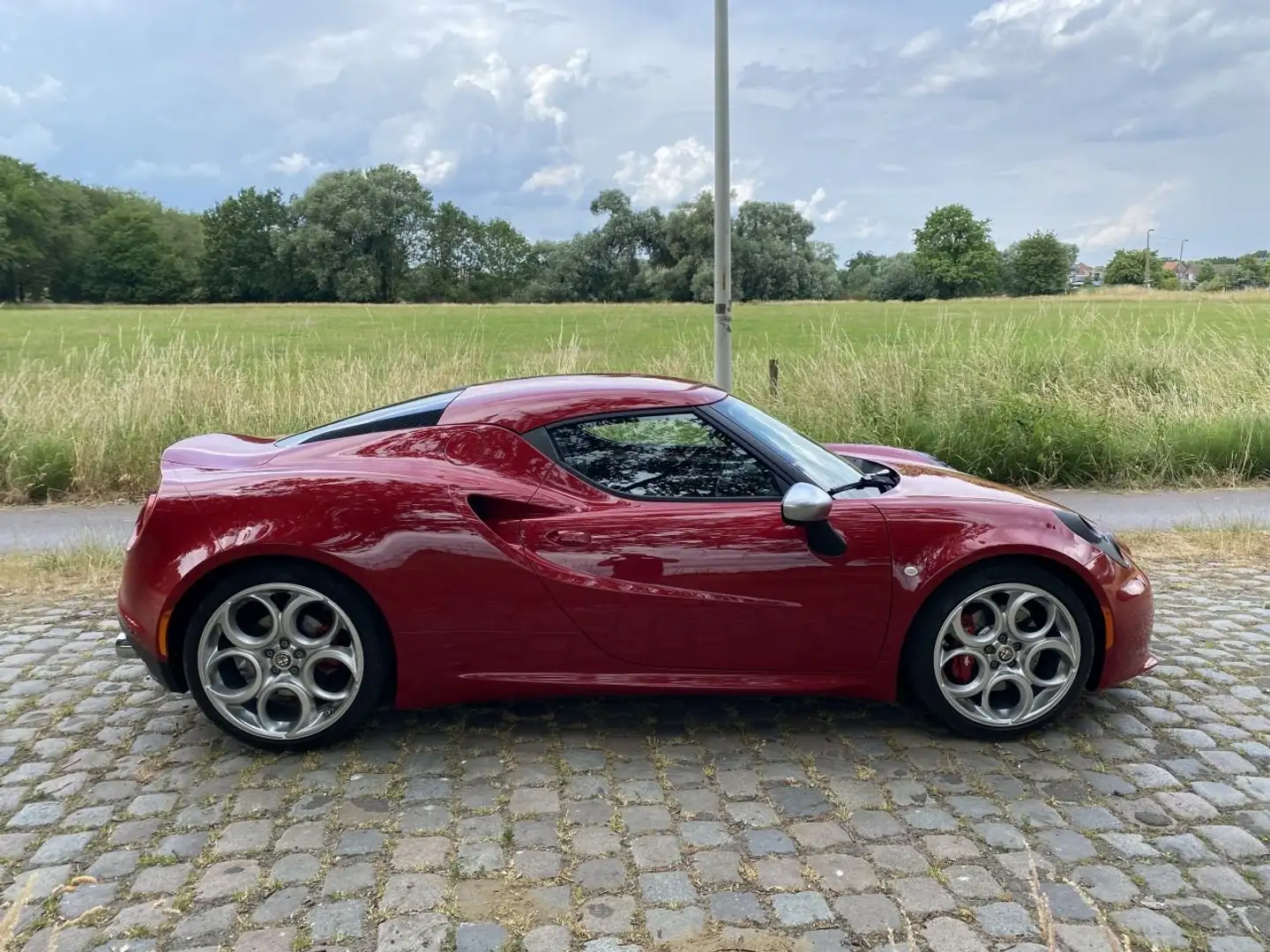 Alfa Romeo 4C 4C 1.8 TBi Rojo - 2