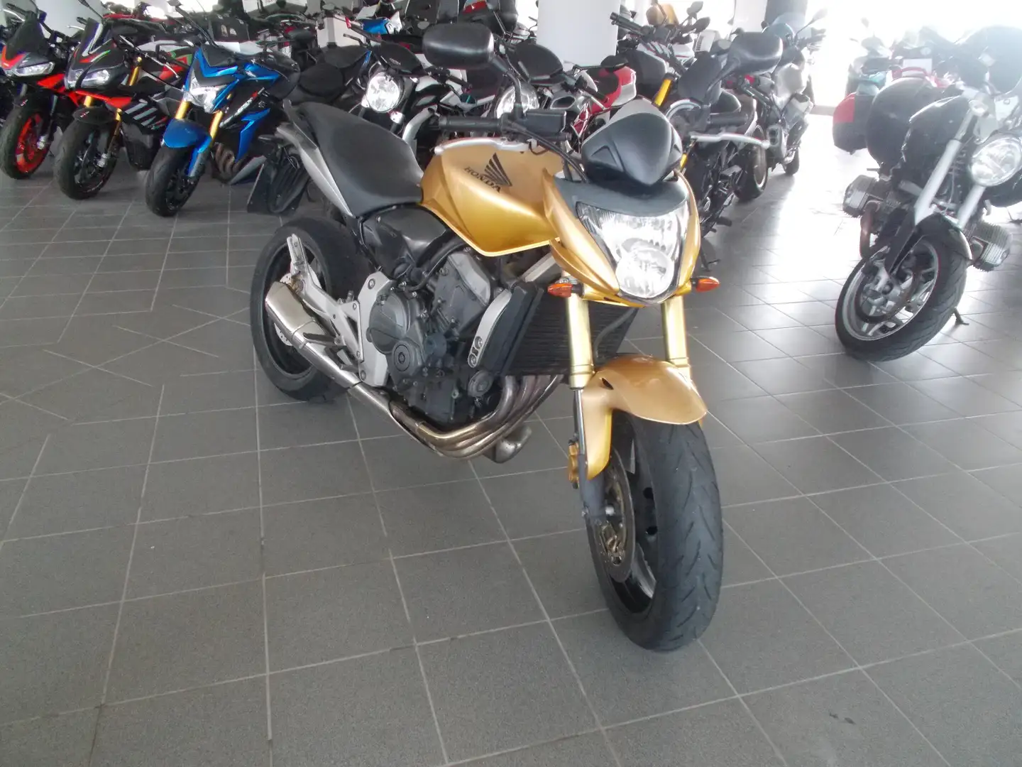 Honda Hornet 600 Gold - 1