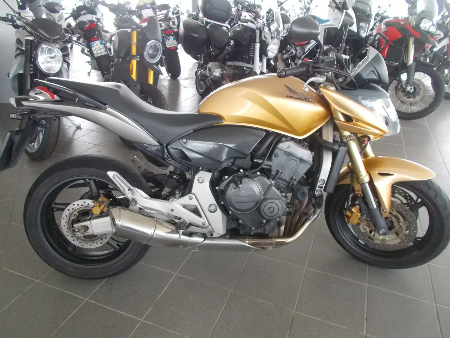 Honda Hornet 600 Gold - 2