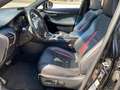 Lexus NX 300 NX Hybrid 4WD F-Sport GPL - thumbnail 10