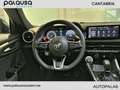 Alfa Romeo Tonale 1.5 MHEV GASOLINA 130 CV FWD Speciale Azul - thumbnail 15