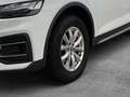Audi Q5 40 TDI quattro MATRIX LEDER RFK PANO LUFTFED Weiß - thumbnail 4