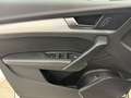 Audi Q5 40 TDI quattro MATRIX LEDER RFK PANO LUFTFED Weiß - thumbnail 6