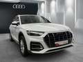 Audi Q5 40 TDI quattro MATRIX LEDER RFK PANO LUFTFED Weiß - thumbnail 23
