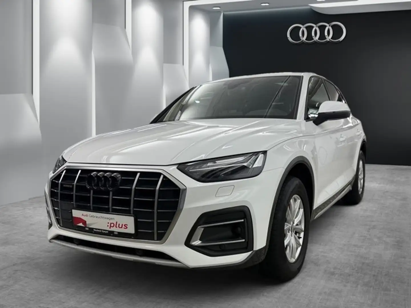 Audi Q5 40 TDI quattro MATRIX LEDER RFK PANO LUFTFED Weiß - 1