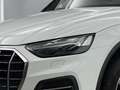 Audi Q5 40 TDI quattro MATRIX LEDER RFK PANO LUFTFED Weiß - thumbnail 3