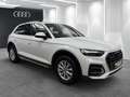 Audi Q5 40 TDI quattro MATRIX LEDER RFK PANO LUFTFED Weiß - thumbnail 24