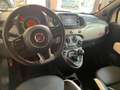Fiat 500 500 1.2 S 69cv SPORT  NEO PATENTATI Wit - thumbnail 12