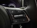 Kia Sportage 1.6 MHEV DRIVE PLUS 136 CV 4X2 Gris - thumbnail 19