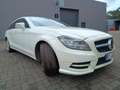 Mercedes-Benz CLS 350 CLS Shooting Brake 350 CDI 4Matic Blanc - thumbnail 5