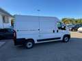 Fiat Ducato 2.3 MJET 140CV Furgone MEDIO 2021 Bianco - thumbnail 6