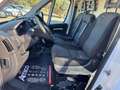 Fiat Ducato 2.3 MJET 140CV Furgone MEDIO 2021 Bianco - thumbnail 12