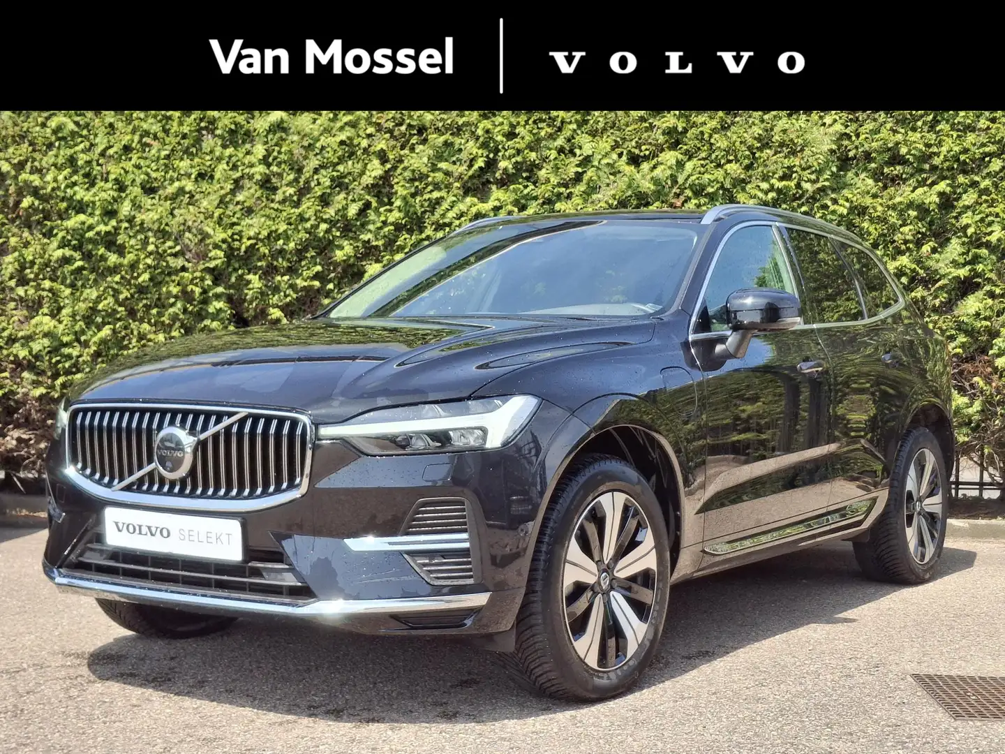 Volvo XC60 T8 Plug-in hybrid AWD Plus Bright | Harman/Kardon Noir - 1