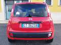 Fiat Panda Lounge turbo benzina dual Logic automatica Rot - thumbnail 5