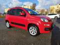 Fiat Panda Lounge turbo benzina dual Logic automatica Rot - thumbnail 2