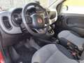 Fiat Panda Lounge turbo benzina dual Logic automatica Rot - thumbnail 6