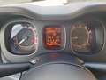 Fiat Panda Lounge turbo benzina dual Logic automatica Rot - thumbnail 9