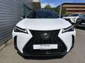 Lexus UX 250h F SPORT Design Blanc - thumbnail 28