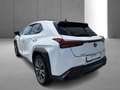Lexus UX 250h F SPORT Design Blanc - thumbnail 8