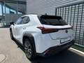 Lexus UX 250h F SPORT Design Blanc - thumbnail 30